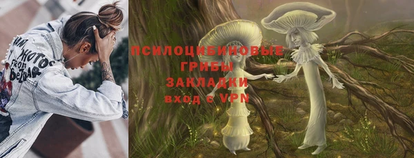 бошки Алексин