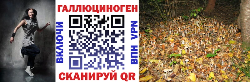 где купить   Томилино  Псилоцибиновые грибы мухоморы 